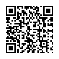 To view this 2009 Hyundai Sonata Chicago IL from Car Credit Center 7600, please scan this QR code with your smartphone or tablet to view the mobile version of this page.