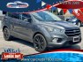2017 GRAY Ford Escape Titanium FWD (1FMCU0J90HU) with an 2.0L L4 DOHC 16V engine, 6A transmission, located at 7600 S Western Ave., Chicago, IL, 60620, (773) 918-3980, 0.000000, 0.000000- Photo#0